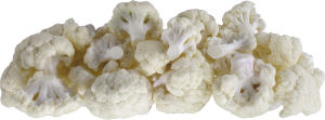 Cauliflower PNG-12669